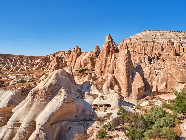 Rose Valley