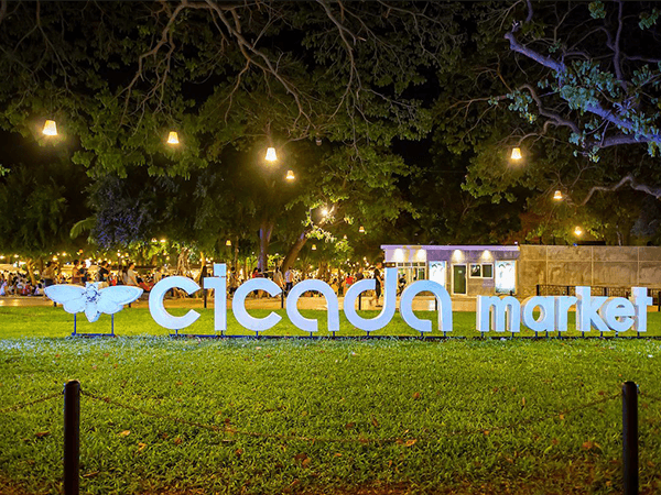 Cicada Market