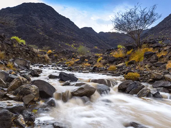 Wadi Wurayah
