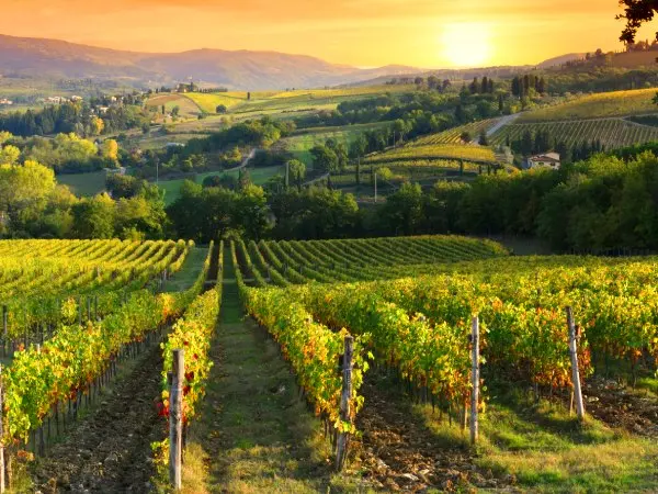 Chianti Region