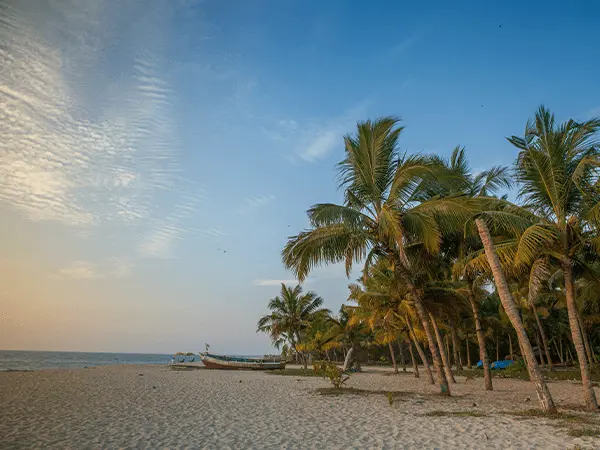 Marari Beach