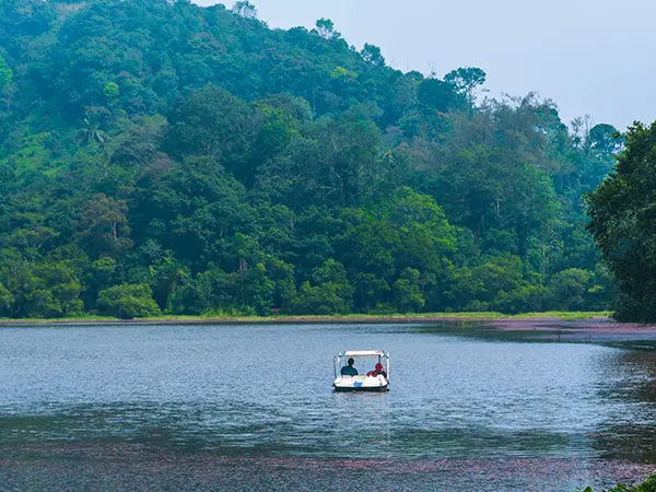 Pookode Lake