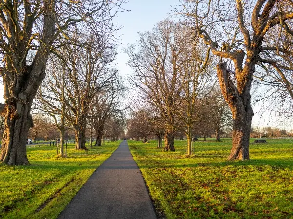 Phoenix Park