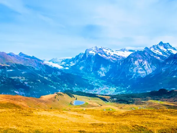 Schynige Platte