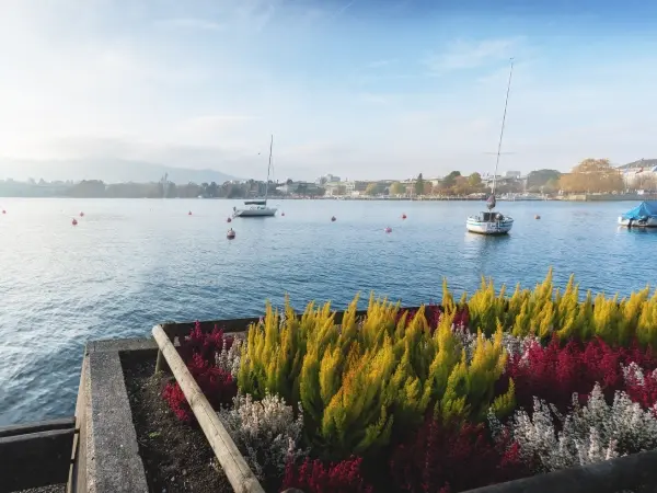 Lake Zurich