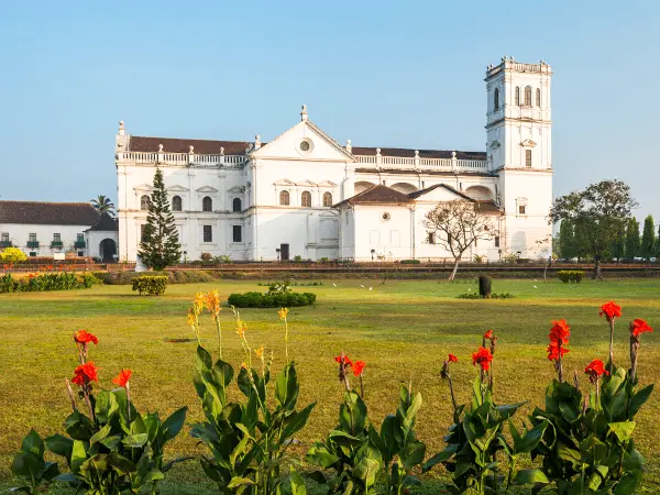 Se Cathedral