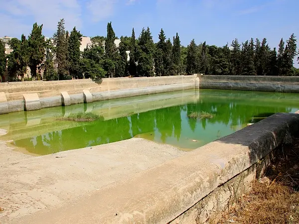 Solomon's Pools
