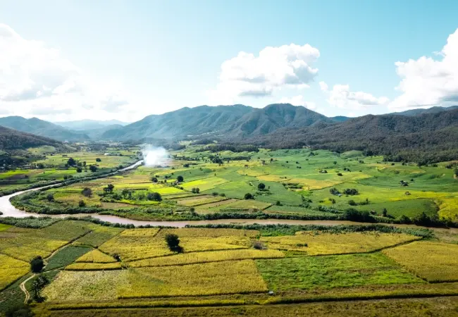 Araku Valley