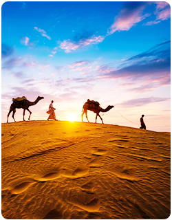 Desert Safari