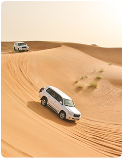 Desert Safari