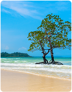 Beach Packages