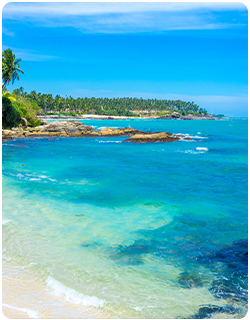 Beach Packages