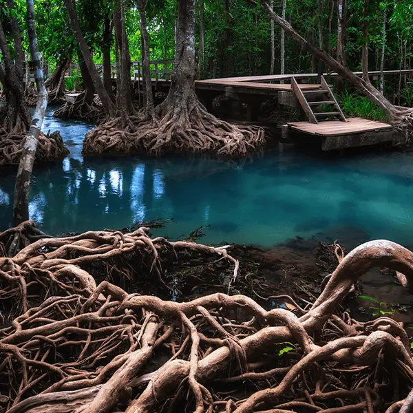 Krabi