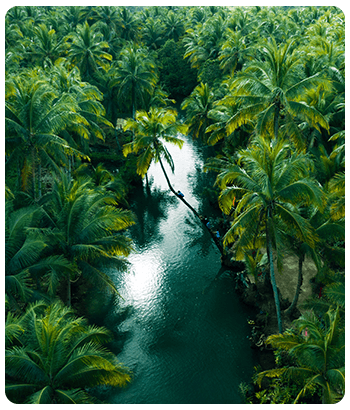 Kerala Tourism
