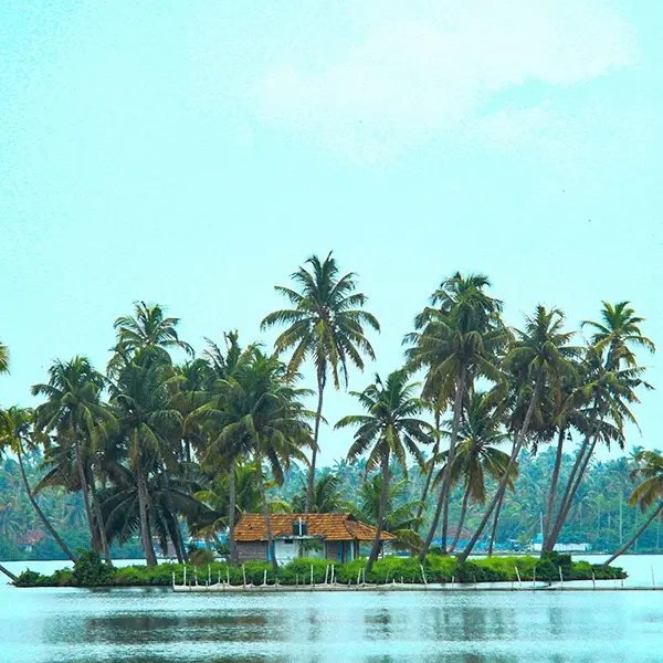 Kochi