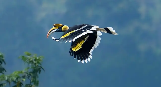 Munnar