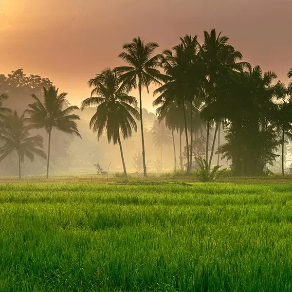 Thrissur