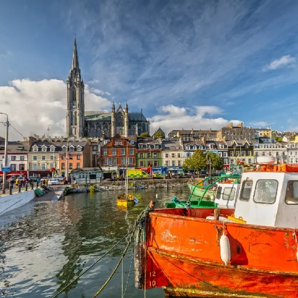Cork