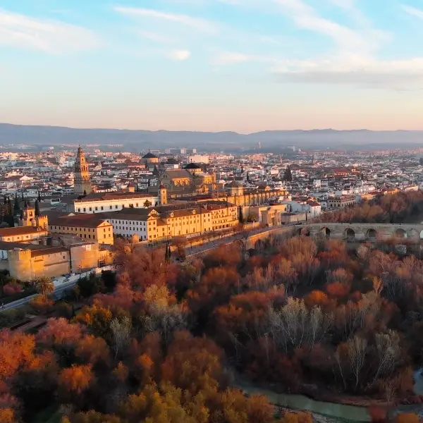 Cordoba