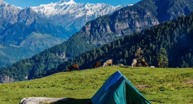 Kullu