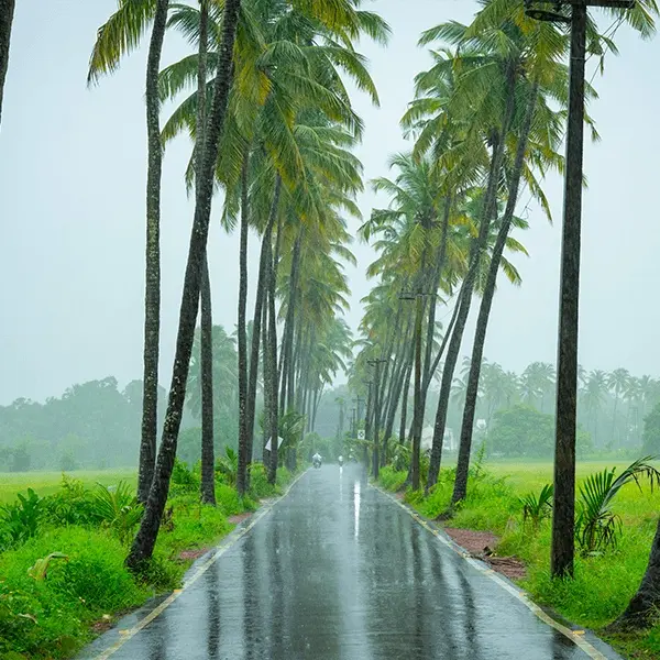 Goa