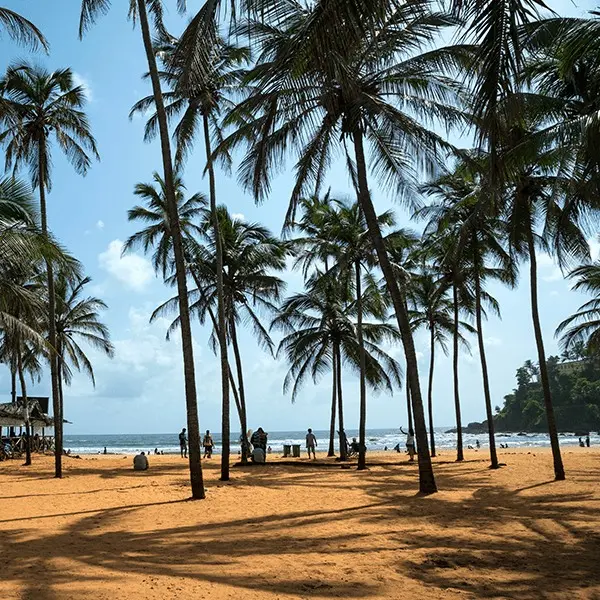 Calangute & Baga
