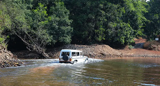 Dudhsagar Falls