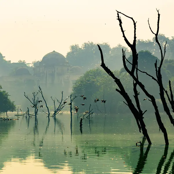 Hauz Khas Complex
