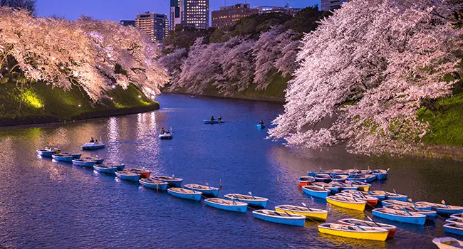 Tokyo