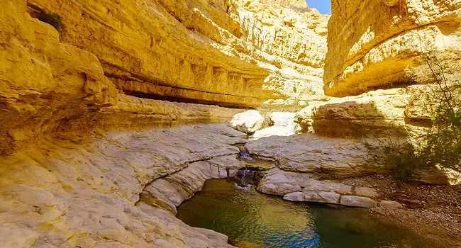 The Dead Sea
