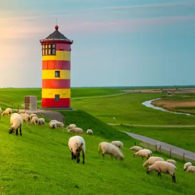 intersight Denmark