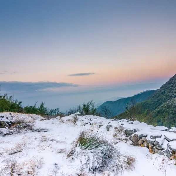 Zuluk