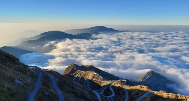 Zuluk