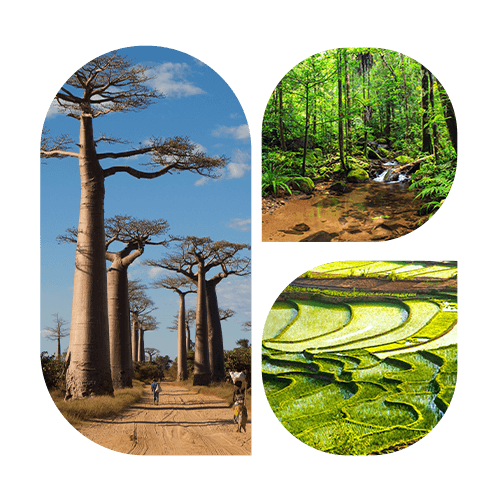 Madagascar