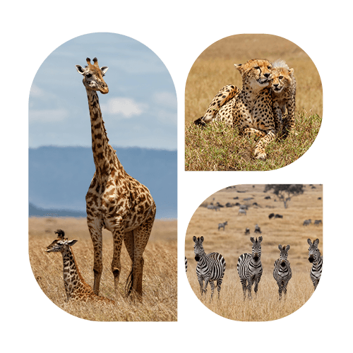 Kenya