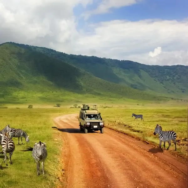 intersight Tanzania