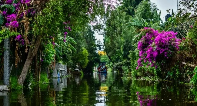 Mexico City