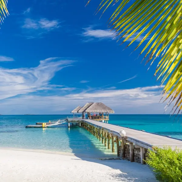 intersight Bahamas