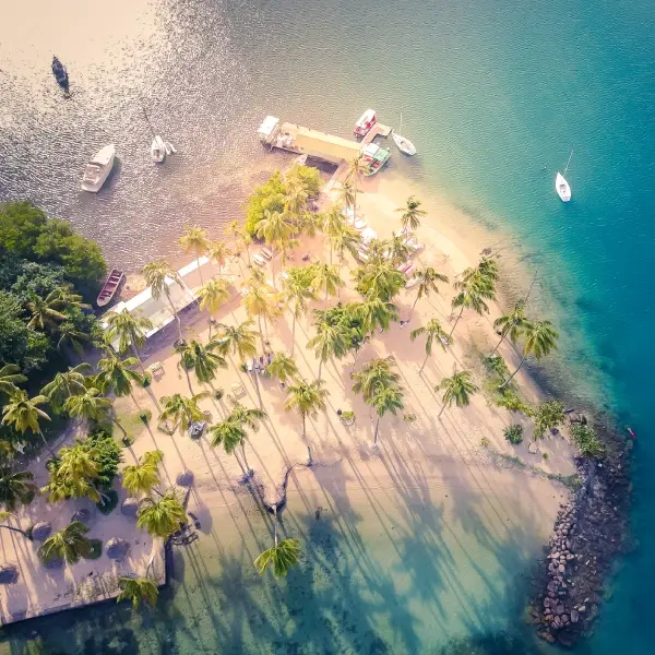 intersight St Lucia
