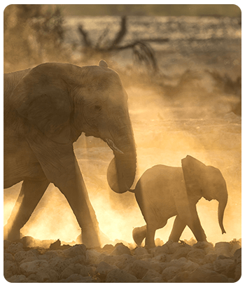 South Africa Tourism