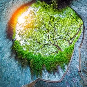 intersight Fort Canning Park