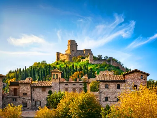 intersight Assisi
