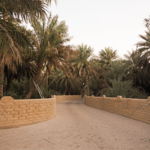 intersight Al Ain
