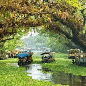 intersight Alleppey