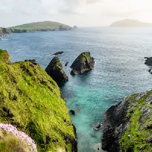 intersight Dingle