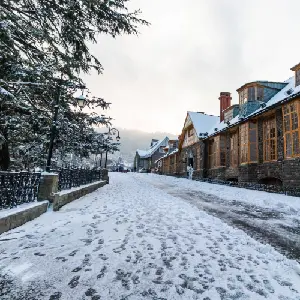 intersight Shimla