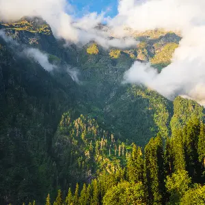 intersight Kullu