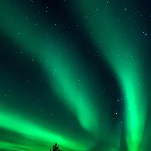 intersight Inari