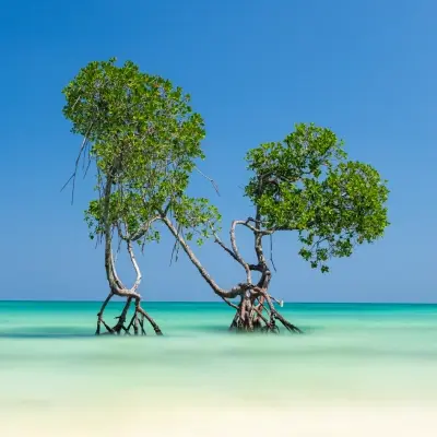 intersight Havelock Island