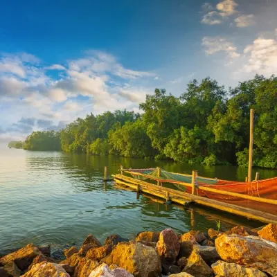 intersight Sundarbans